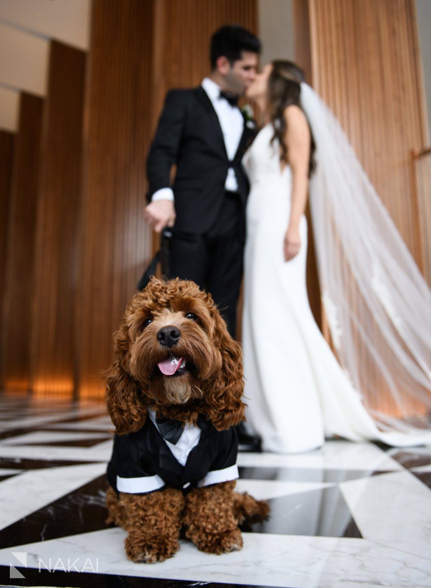 best ritz Carlton chicago wedding photo bride groom kiss dog