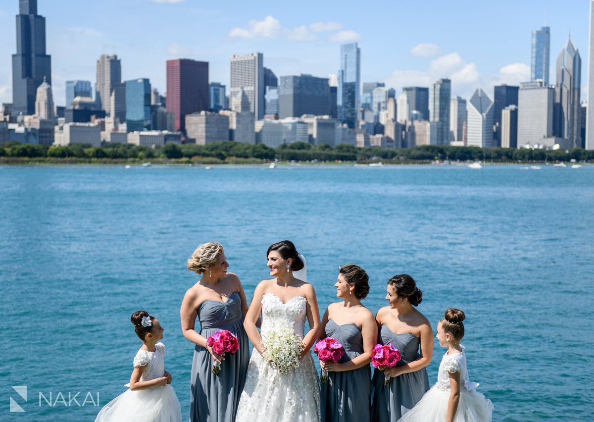 adler planetarium wedding photos bridal party