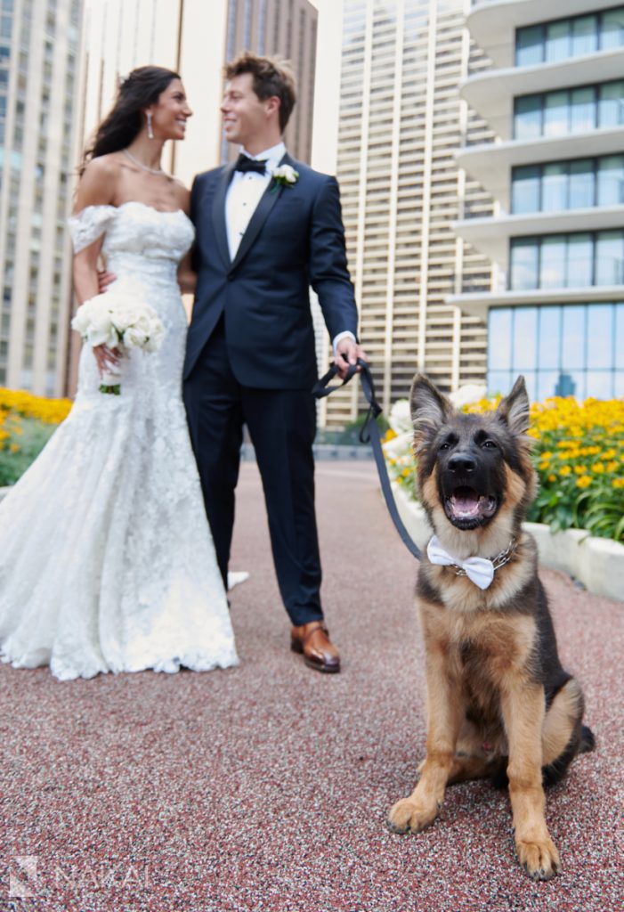 chicago covid wedding photographer Radisson blu outdoor rooftop