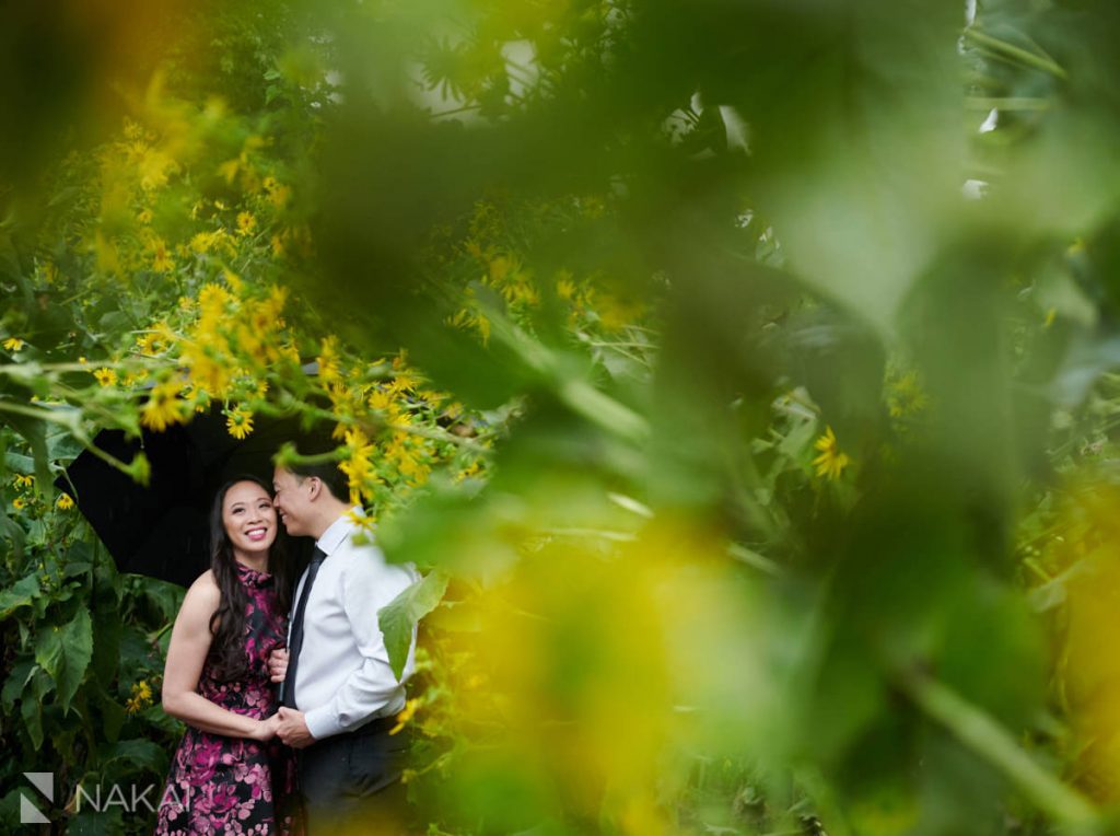 chicago engagement photos asian couple Lincoln Park