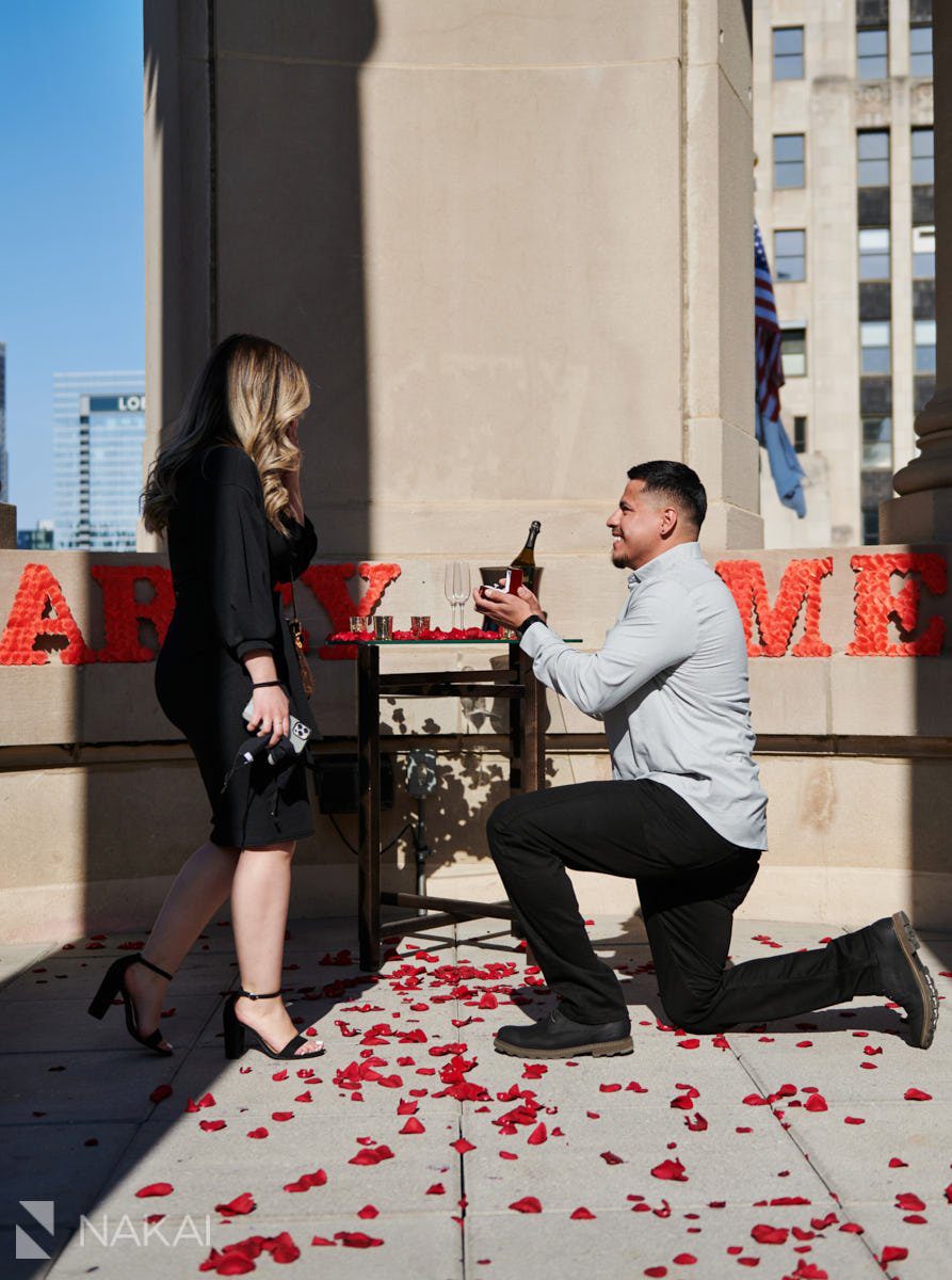 15 Chicago LondonHouse Cupola Proposal Photos!