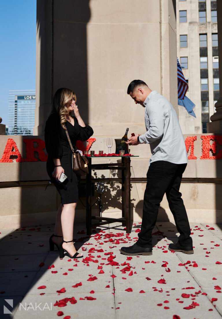 15 Chicago LondonHouse Cupola Proposal Photos!