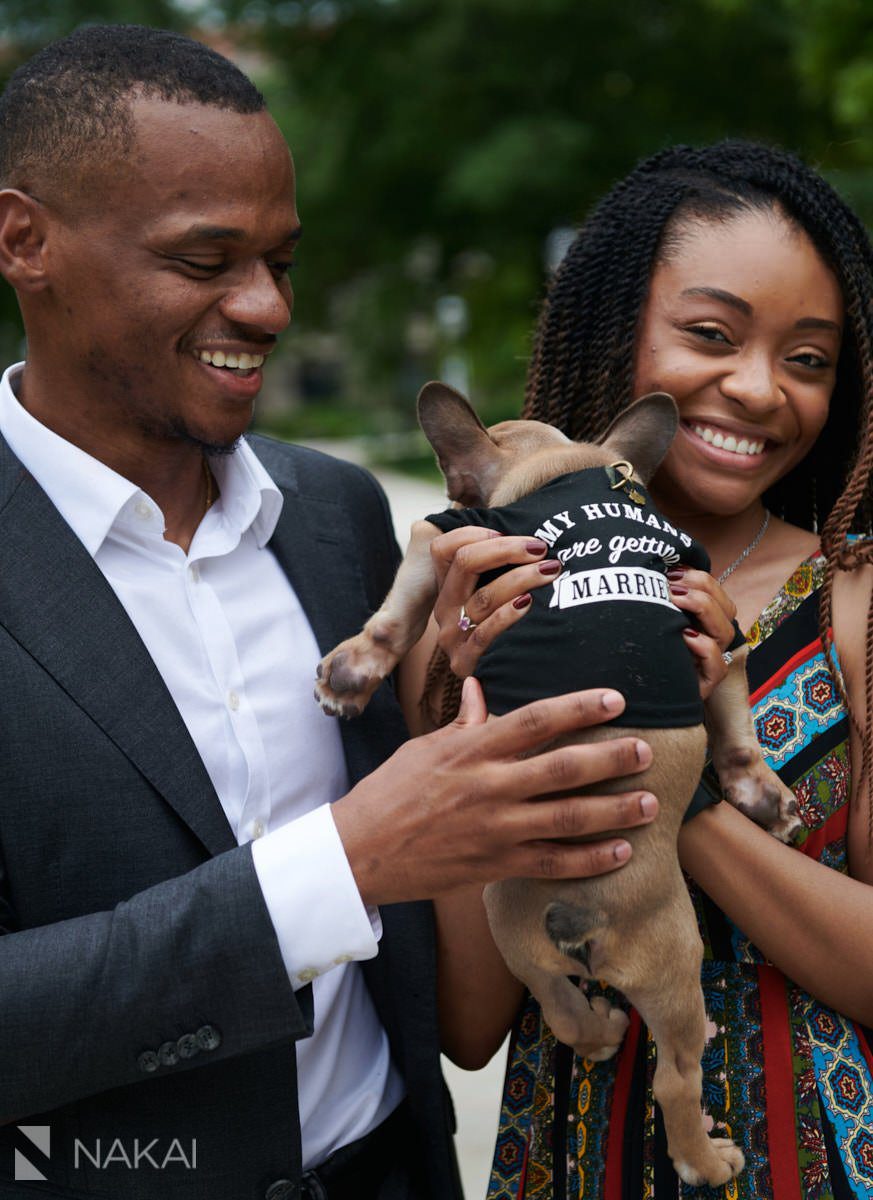 university of chicago proposal photographer dog 