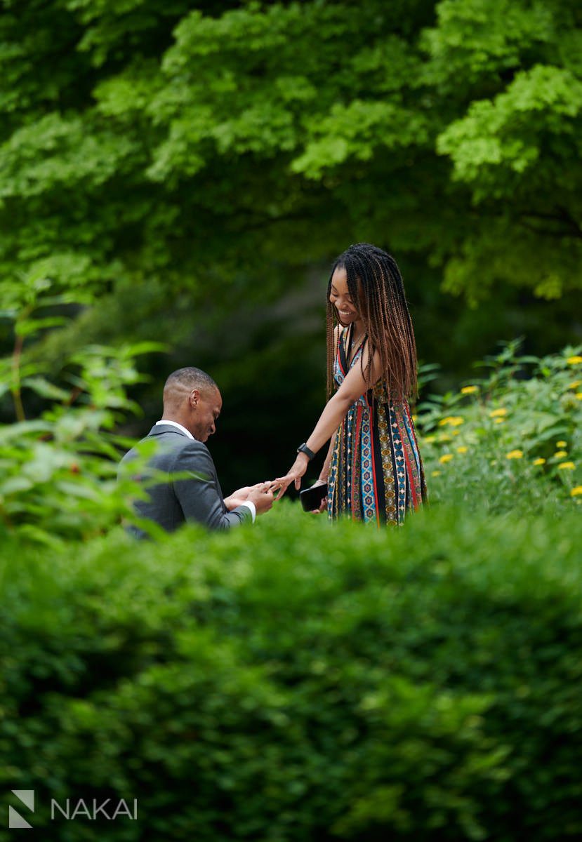 university of chicago proposal photos quad