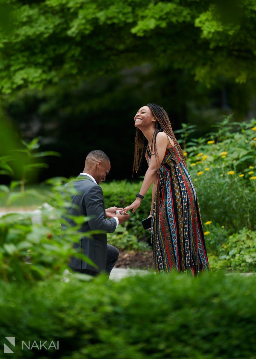 university of chicago proposal pictures quad