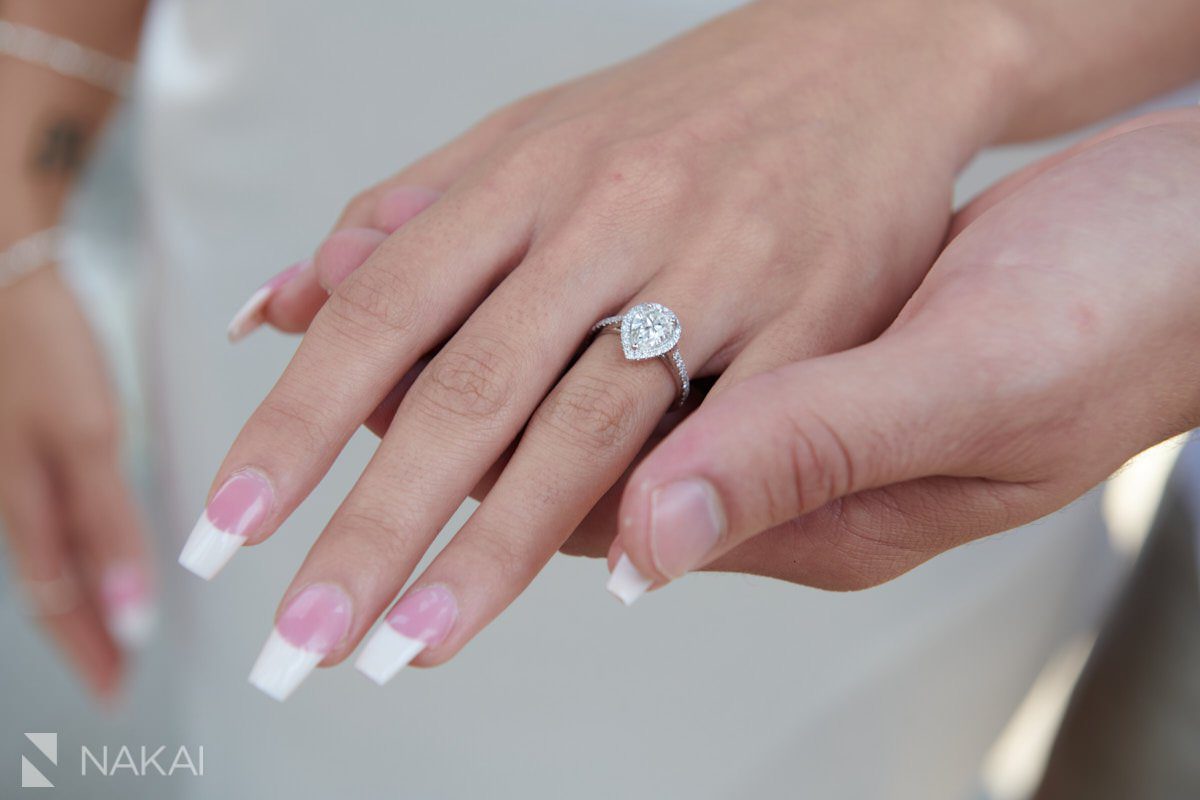 londonhouse proposal photographer chicago rooftop cupola