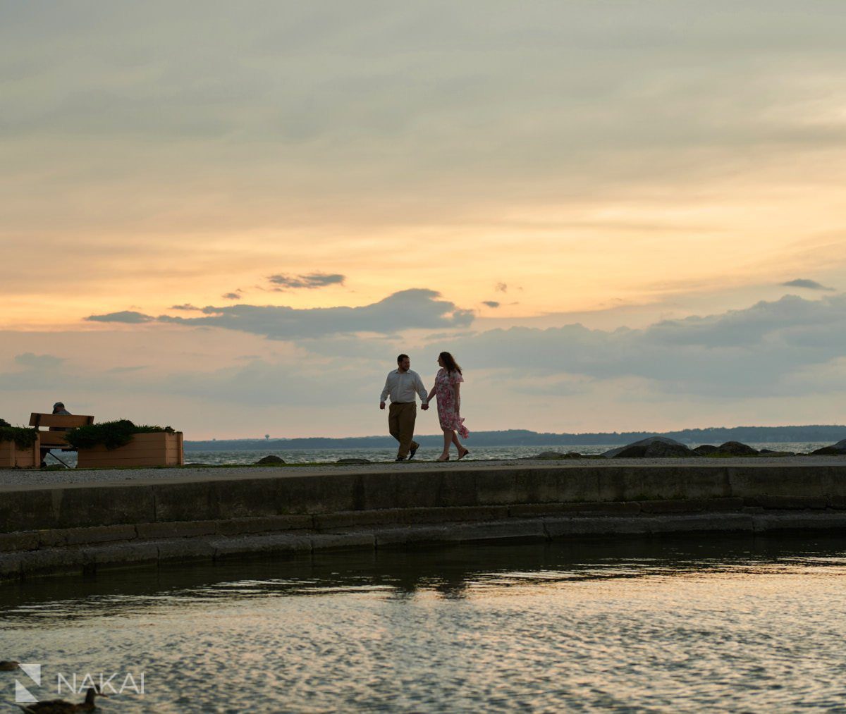 tenet park engagement pictures