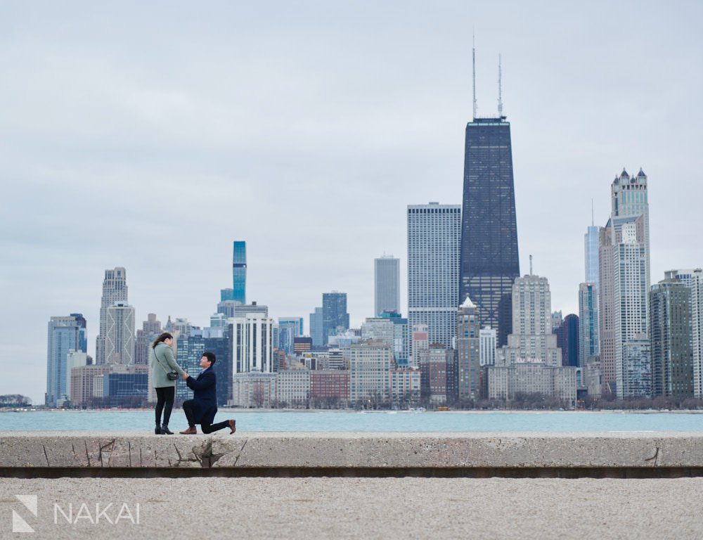 chicago north ave proposal photos skyline 