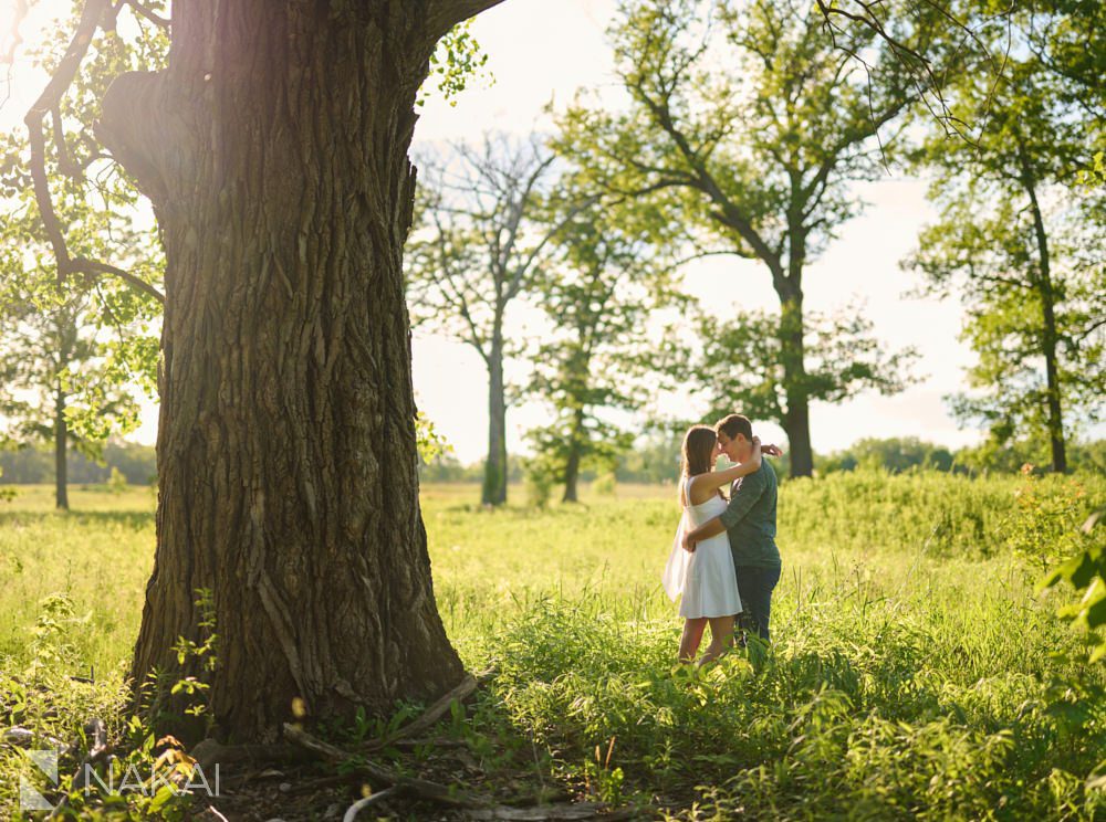 fort Sheridan engagement photos forest fields