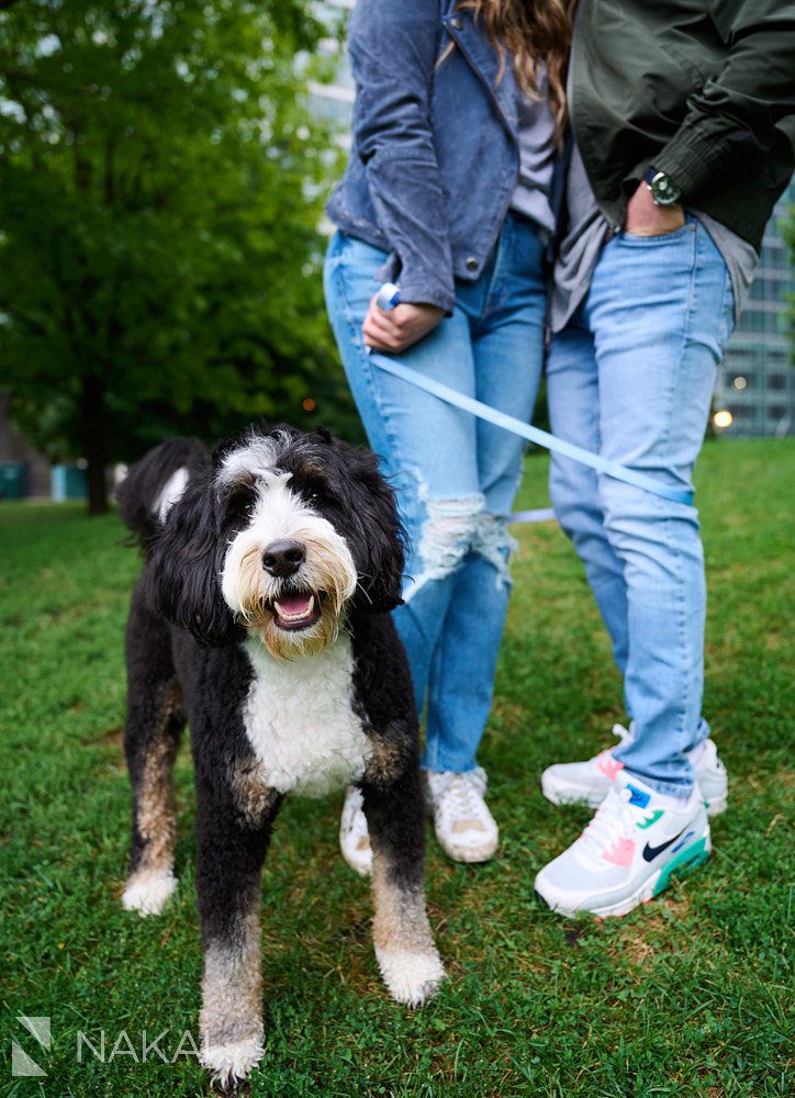 engagement photos in chicago puppy