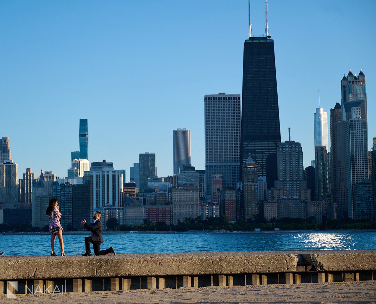 chicago skyline proposal photos North Avenue Beach