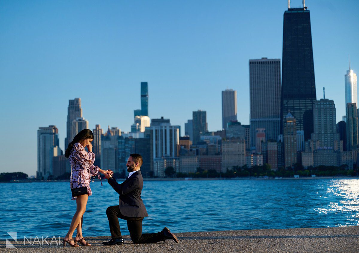 perfect chicago skyline proposal photos North Avenue Beach