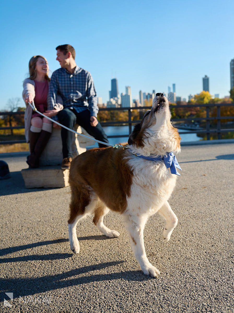 chicago fall engagement photos Lincoln Park south pond puppy