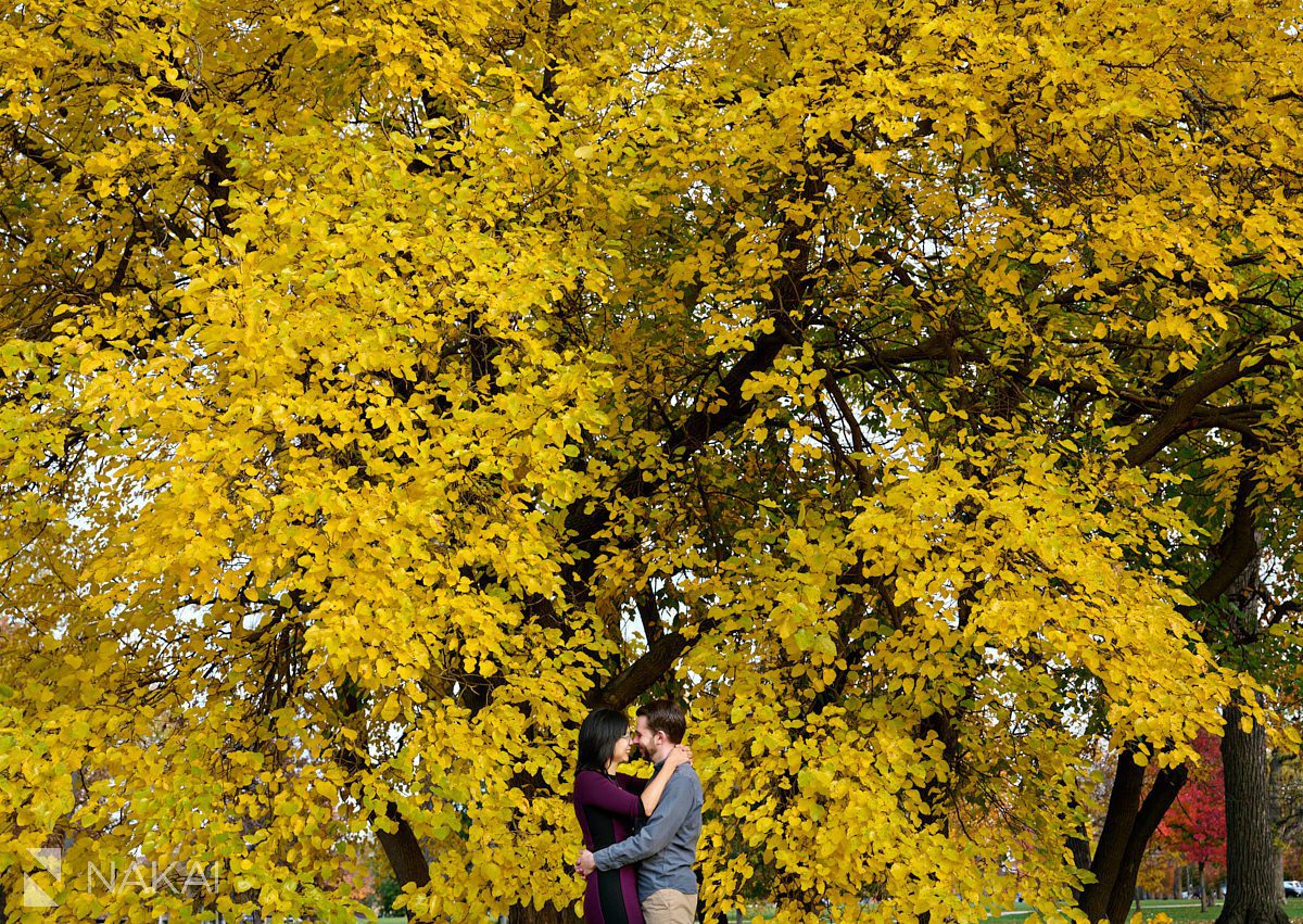 Chicago Humboldt park engagement photos fall pictures
