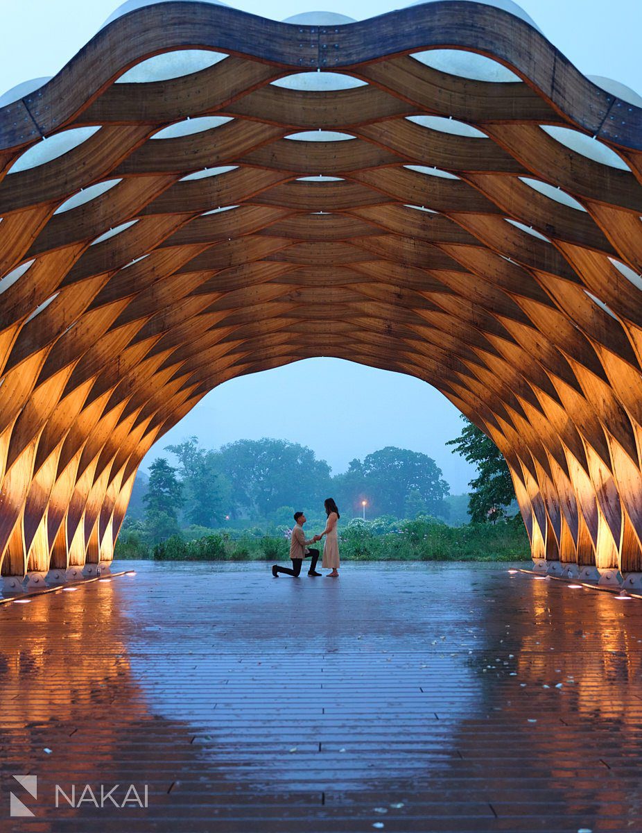 Lincoln park chicago proposal photos honeycomb in the rain 