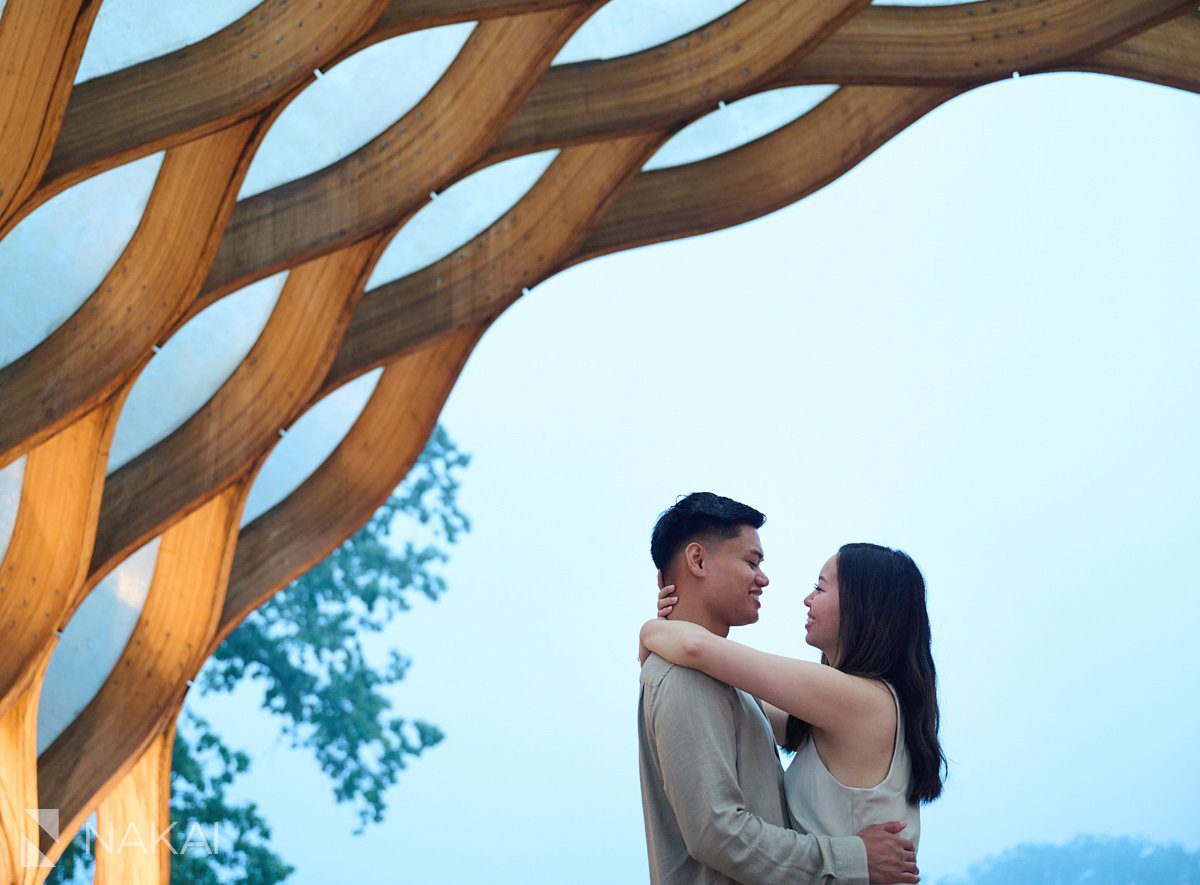 Lincoln park chicago proposal photos honeycomb creative composition 