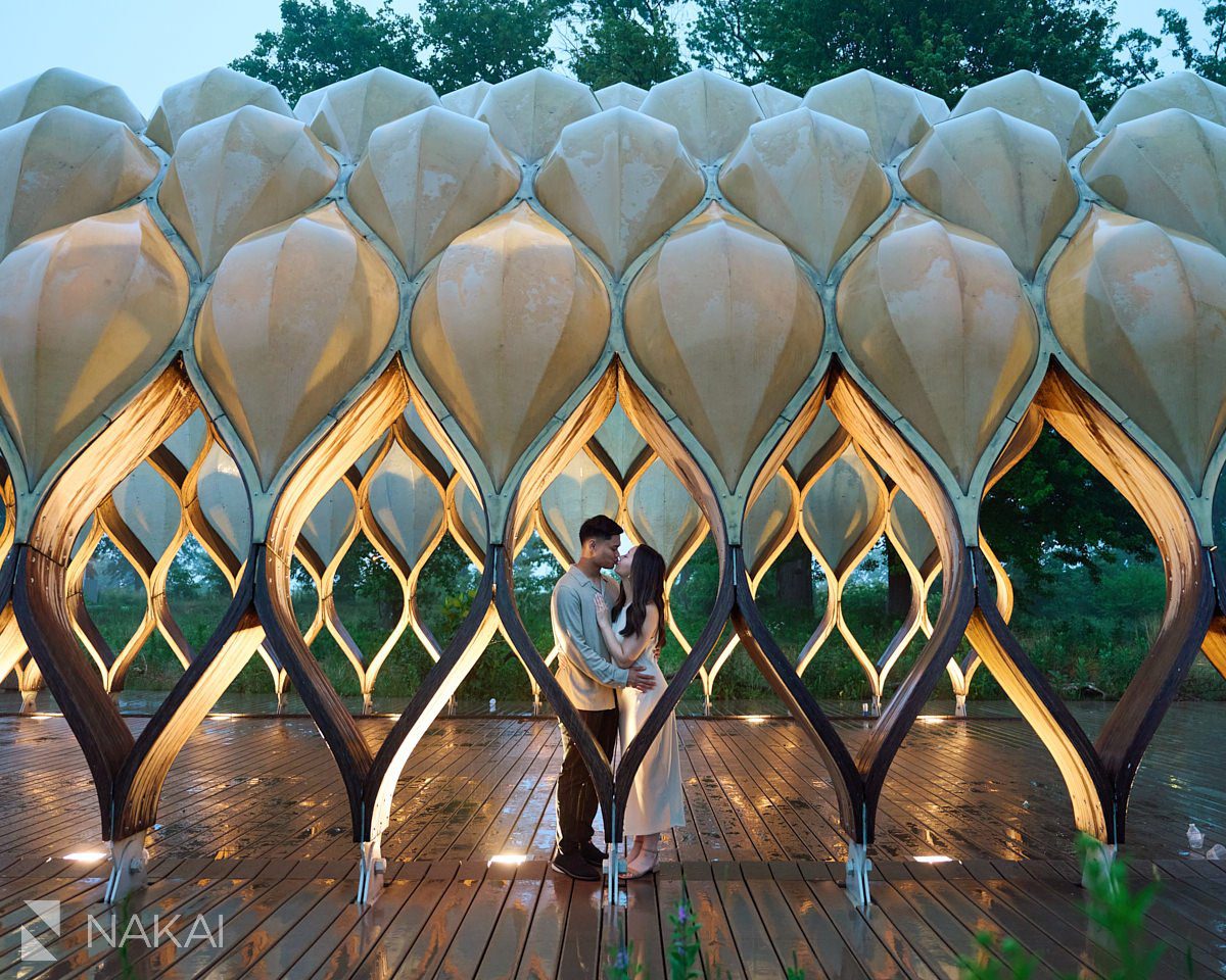 Lincoln park chicago proposal photos honeycomb creative composition 