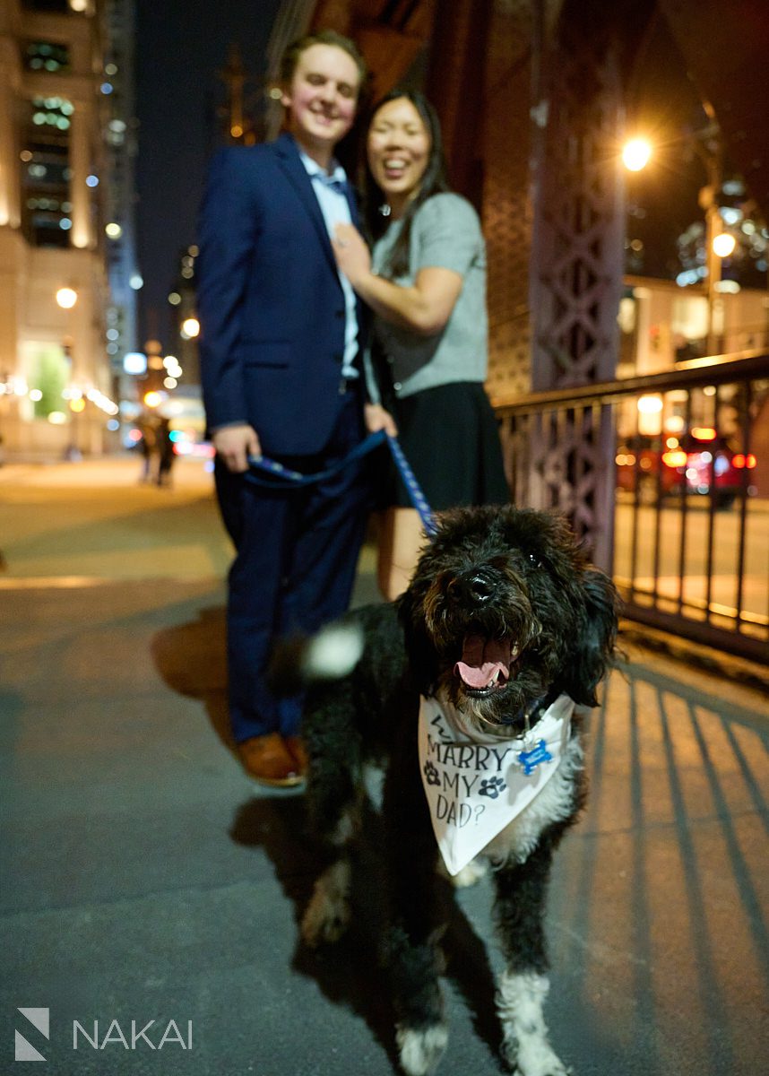 fun surprise proposal chicago on bridge at night. Doggie wearing message on bandana