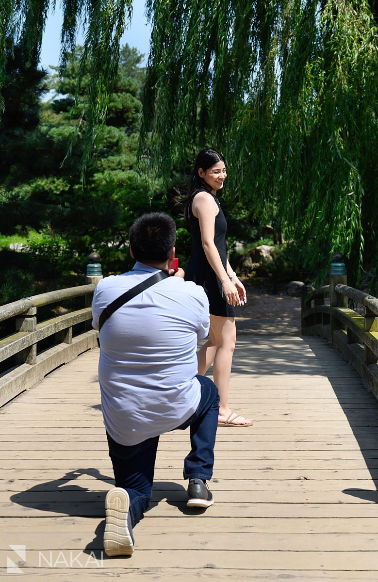 guy on bended knee Chicago botanic gardens proposal photos