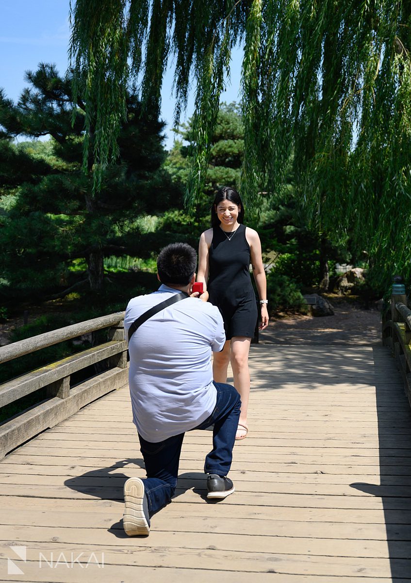 guy on bended knee Chicago botanic gardens proposal pictures