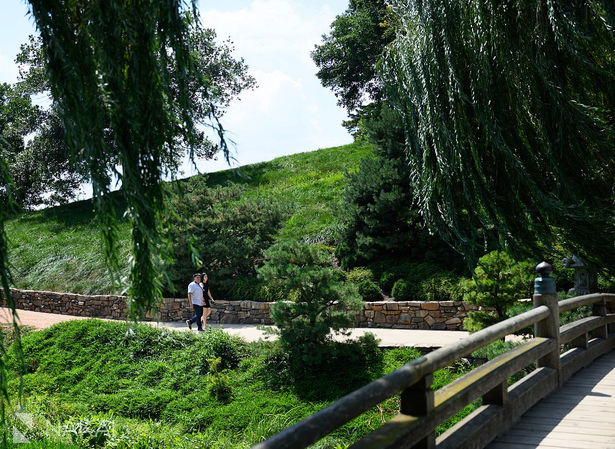 walking on a path Chicago botanic gardens proposal photos