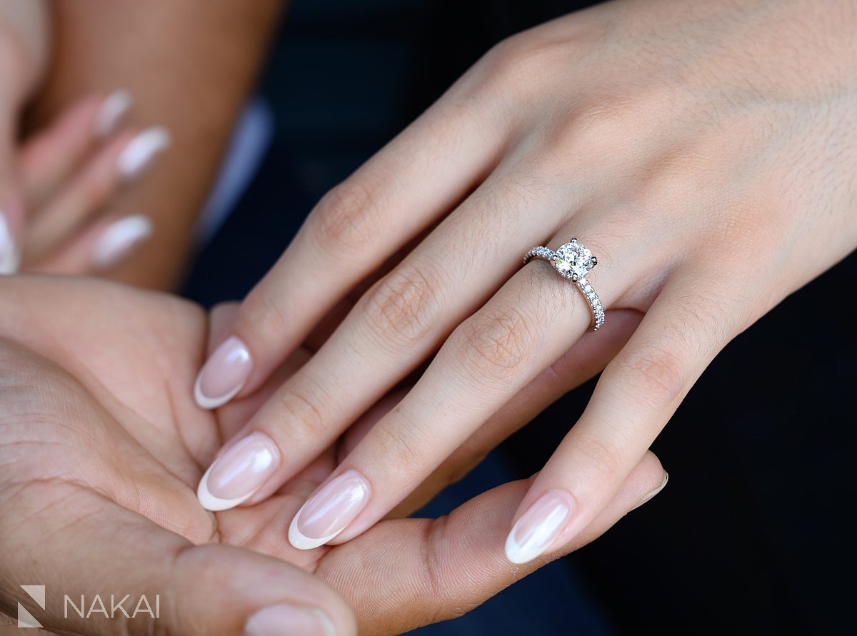 ring on hands Chicago botanic gardens proposal photos
