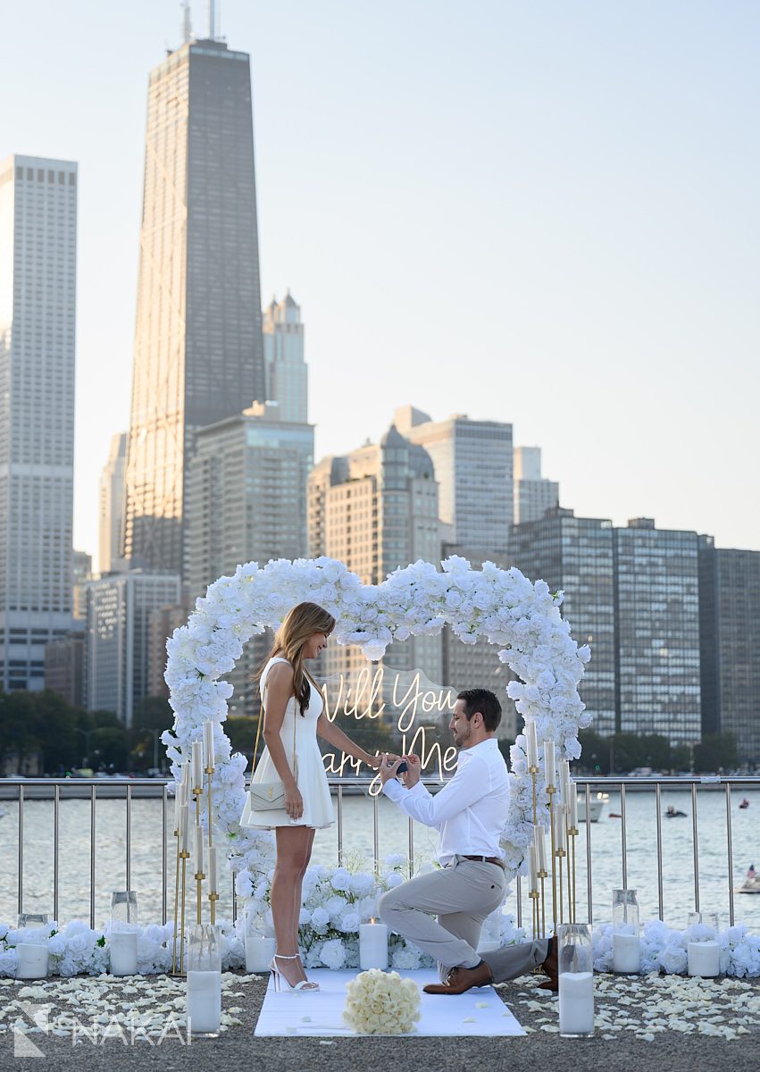 chicago proposal spots olive park on bended knee