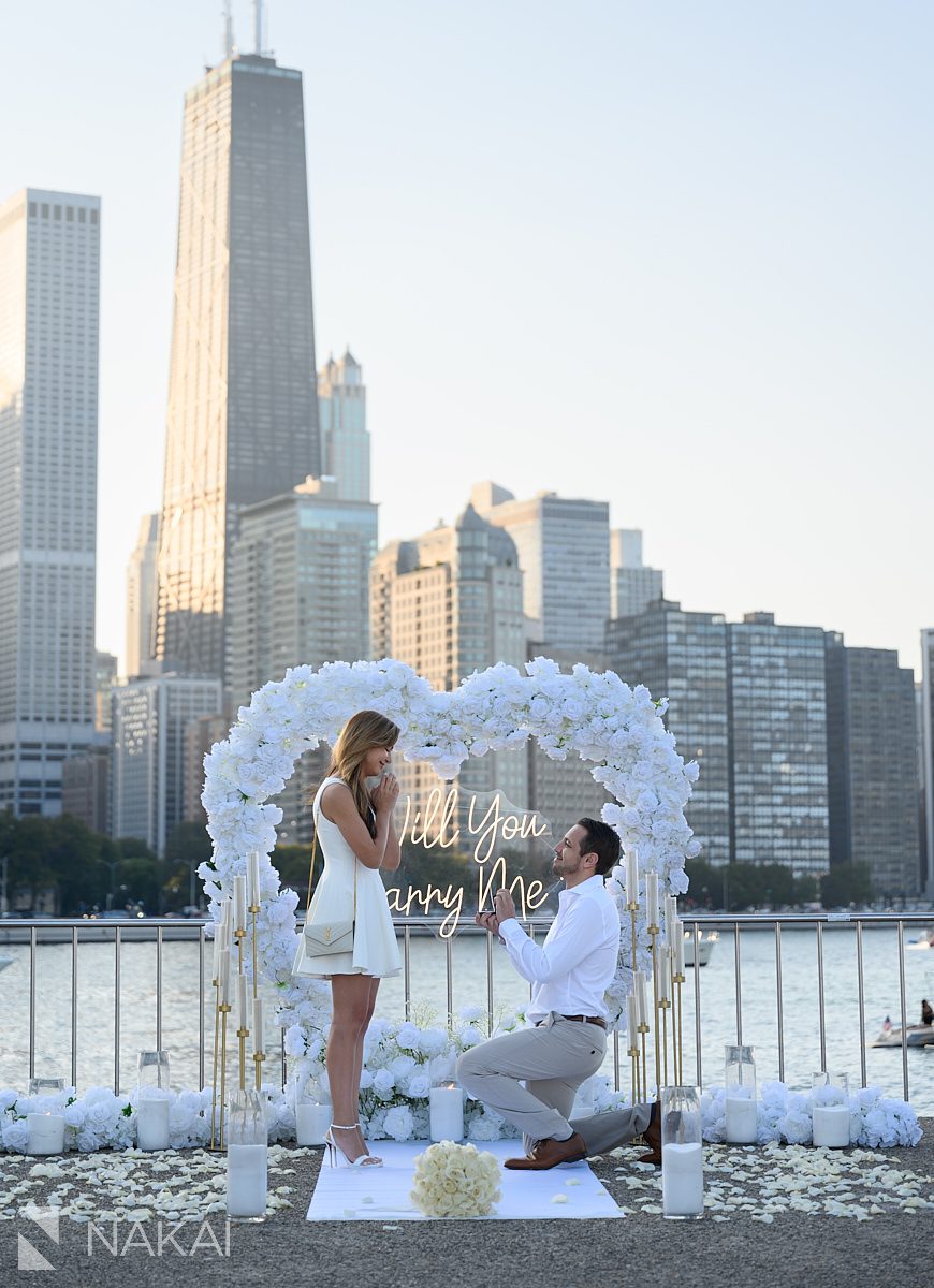 lakefront chicago proposal spots on bended knee
