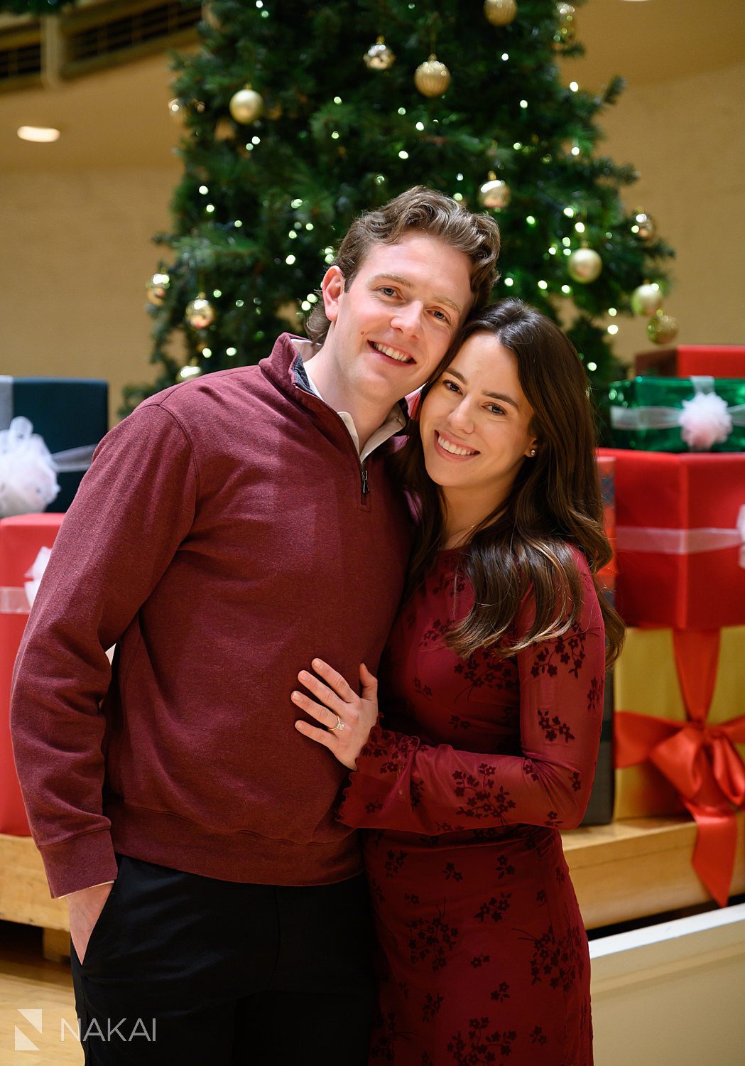 indoor Chicago winter proposal ideas Chicago symphony center