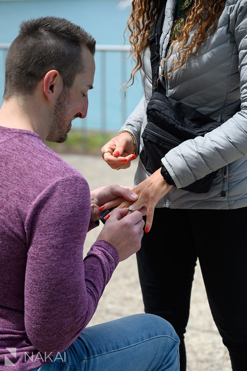 putting ring on during chicago lakefront proposal