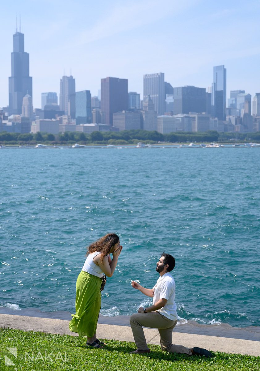 adler planetarium proposal, guy on bended knee, girl with hands over her mouth, skyline in background