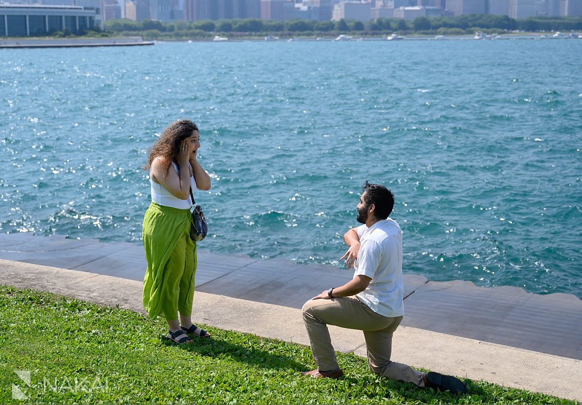 chicago adler planetarium proposal, guy on bended knee, girl with hands over her mouth, Lake michigan in background