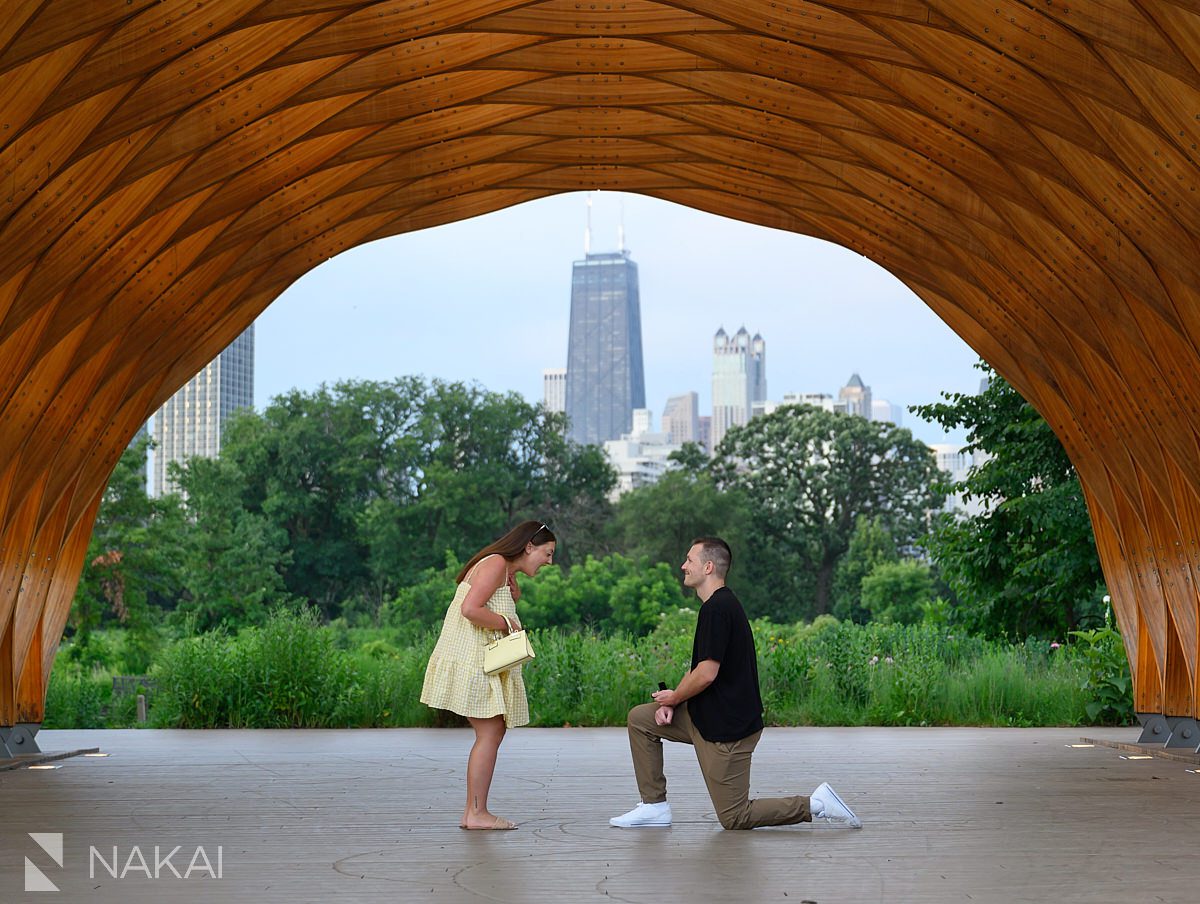 peoples gas pavilion proposal aka honeycomb guy on bended knee