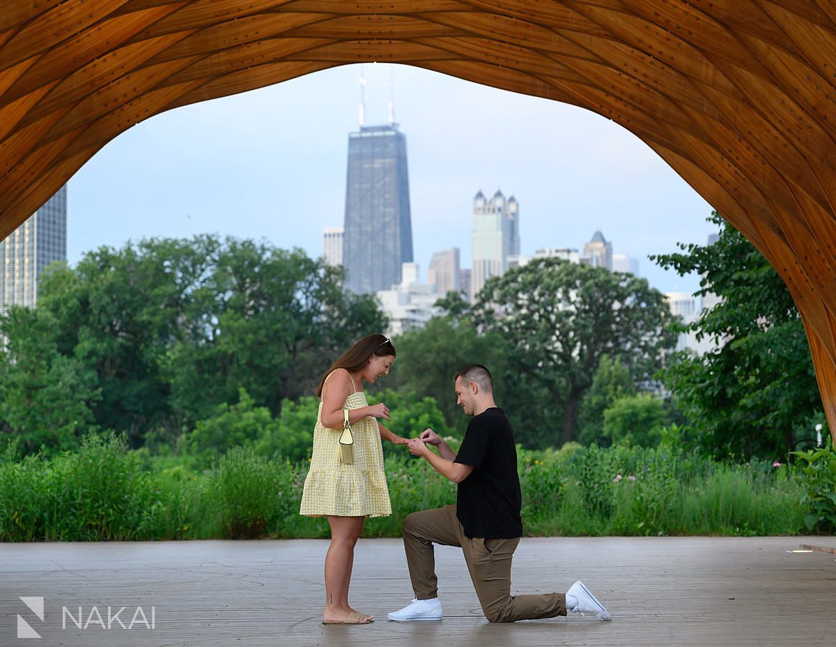 excitement on her face - peoples gas pavilion proposal