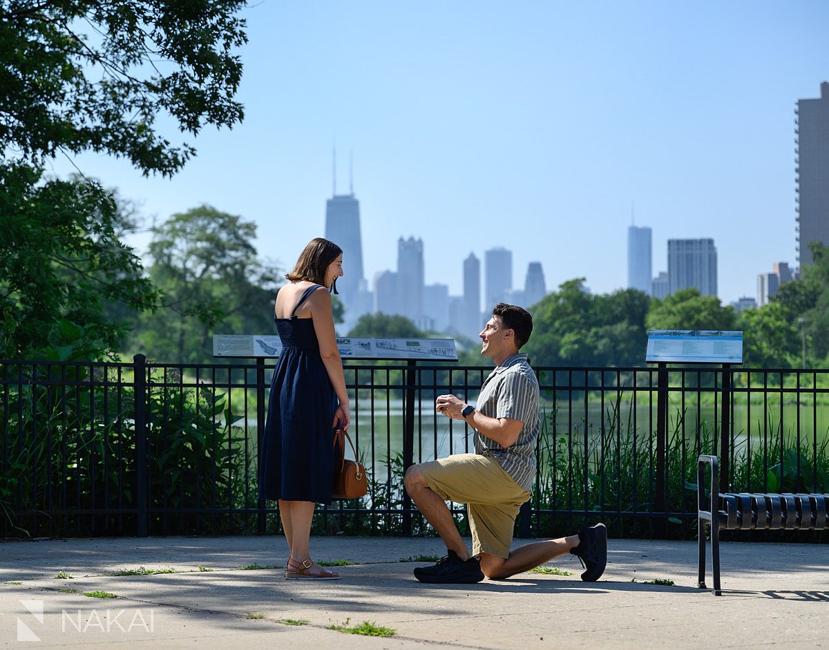 north pond proposal photos chicago on bended knee