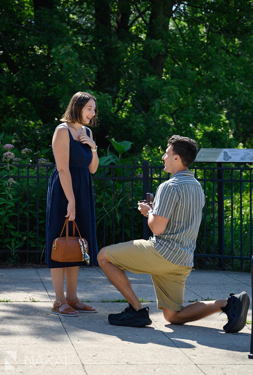 north pond proposal photos lincoln park on bended knee